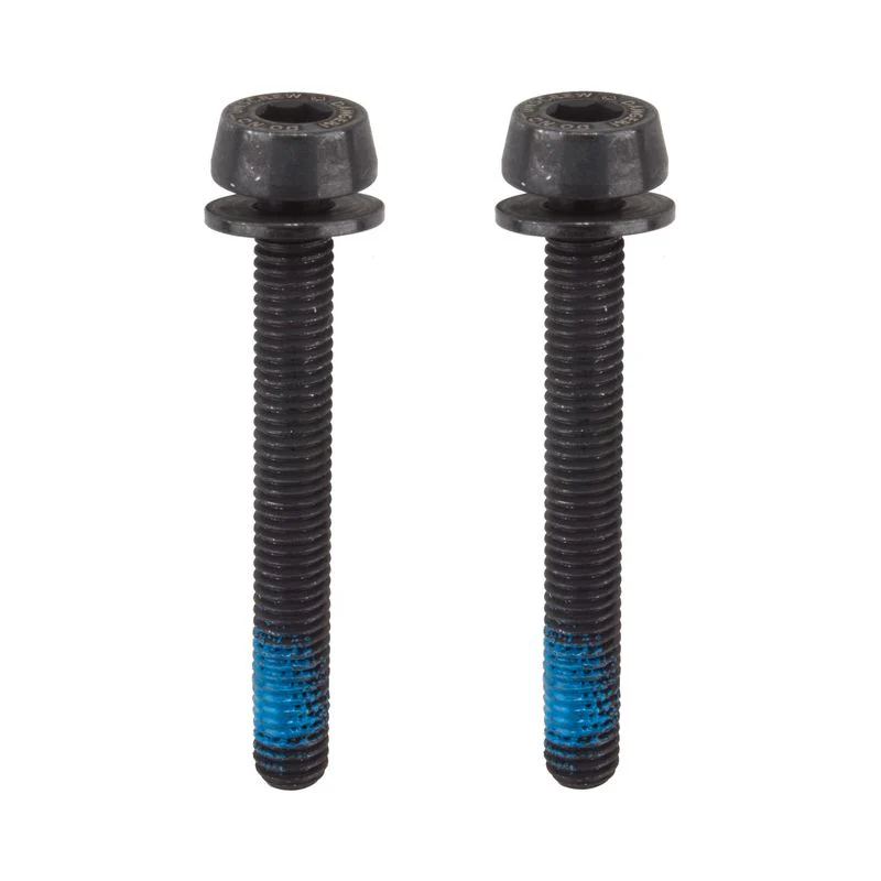 Campagnolo H11 Disc Brake Caliper Mounting Screws 2x39mm for 20-34mm Mount