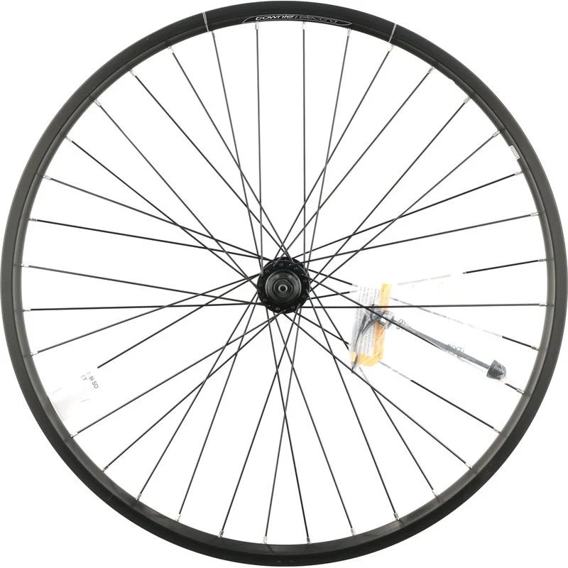 Electra Townie Go! 8i 26" Front Wheel, Clincher, 100mm hub, Centerlock Disc, QR
