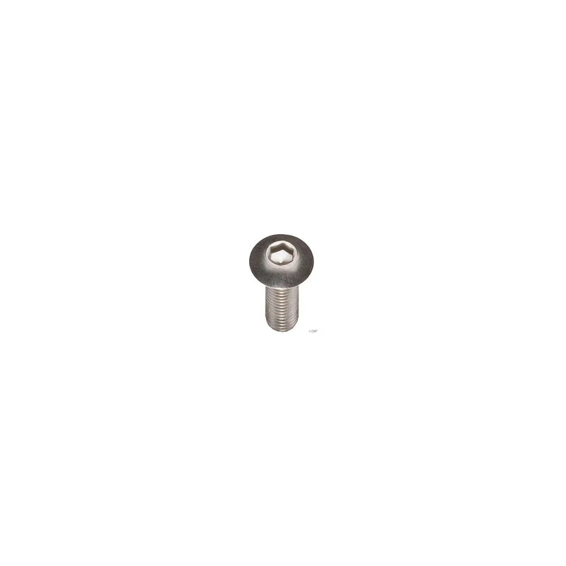 M5 x 16.0mm Stainless Button Head Bolt: Bag/10