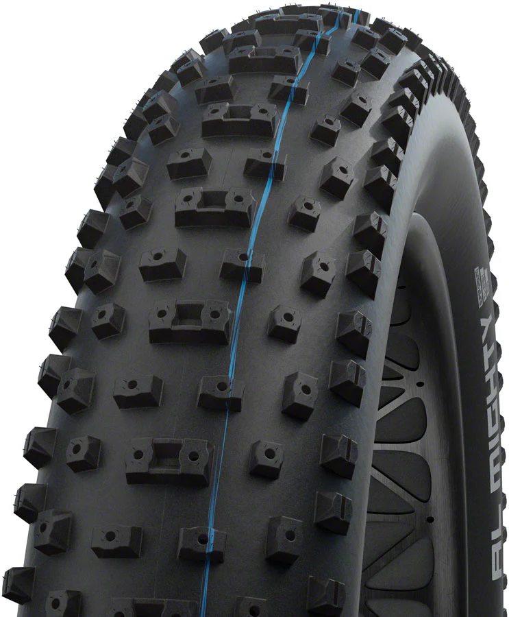 Schwalbe Al Mighty Tire, Evolution Line Addix Speed Grip - 26 x 4.8"