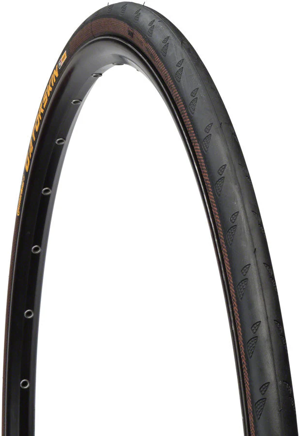 Gatorskin Tire (Wire)