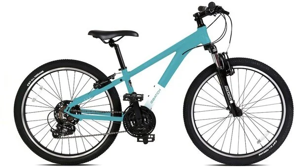 Batch BicyclesThe Youth 24-inch Mountain Bike