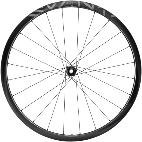 CampagnoloLevante 700c Rear