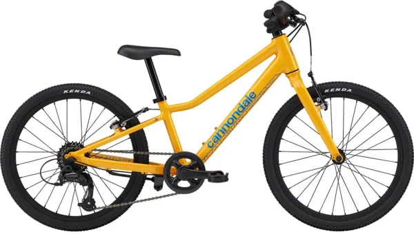CannondaleQuick 20