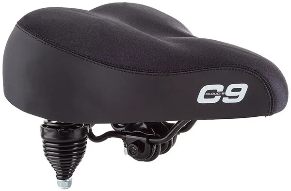 Cloud-9Cruiser Anatomic