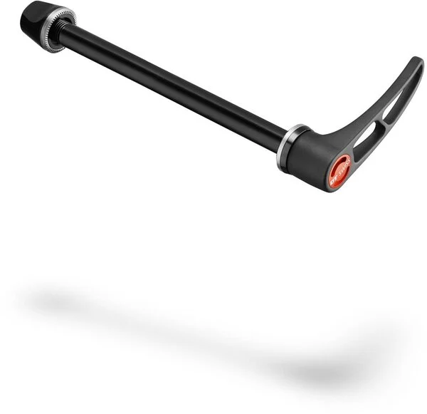 DT SwissRWS MTB Front Thru Bolt