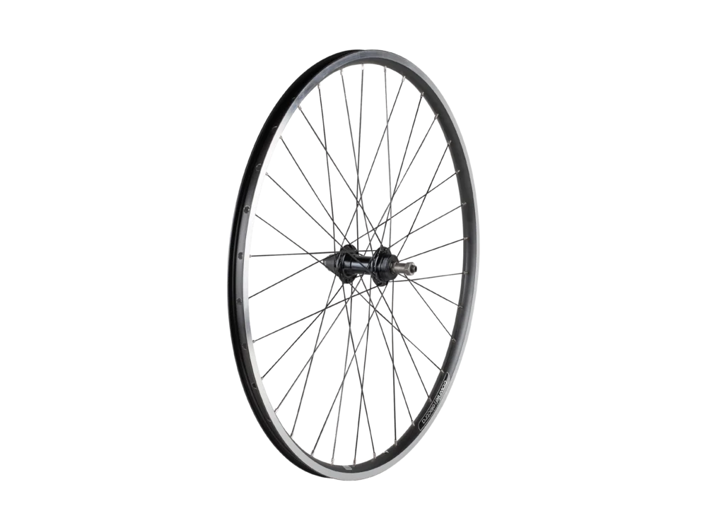 Electra2021 Townie 7D 26" Rear Wheel