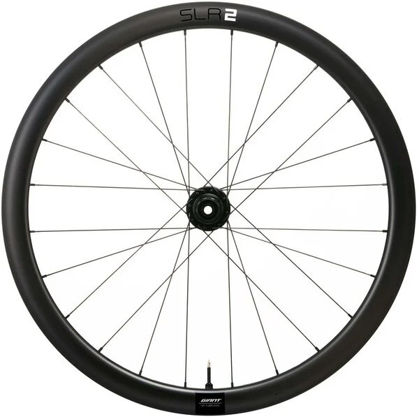 GiantSLR 2 42 Disc Rear