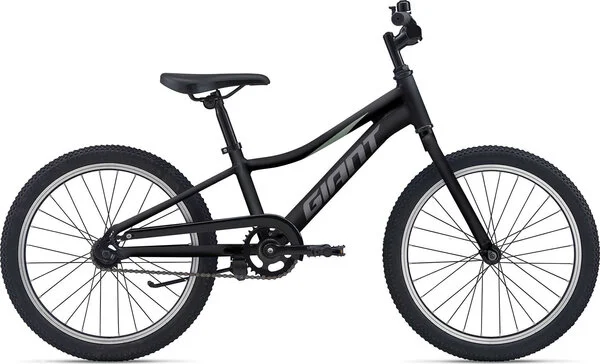 GiantXTC Jr 20 C/B