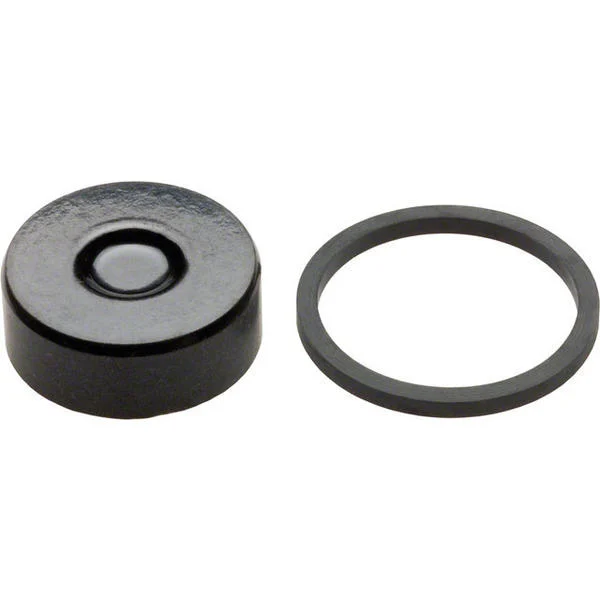 HayesG1/G2 Piston Kit