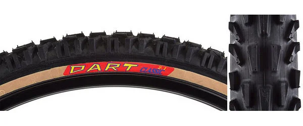 PanaracerDart Classic